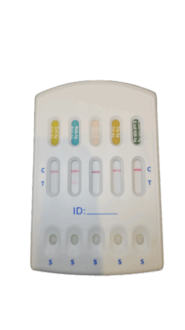 5 in 1 calf scour test