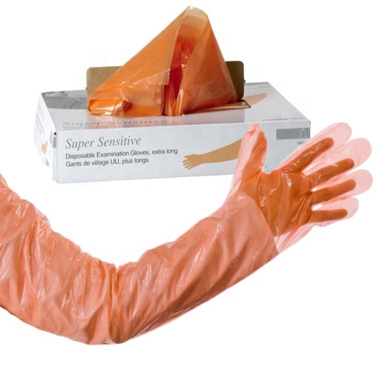 Long Veterinary AI Gloves — 90cm Disposable Shoulder-Length (Box of 100) 2 Veterinarian-wearing-90cm-disposable-AI-glove-for-cattle-examination