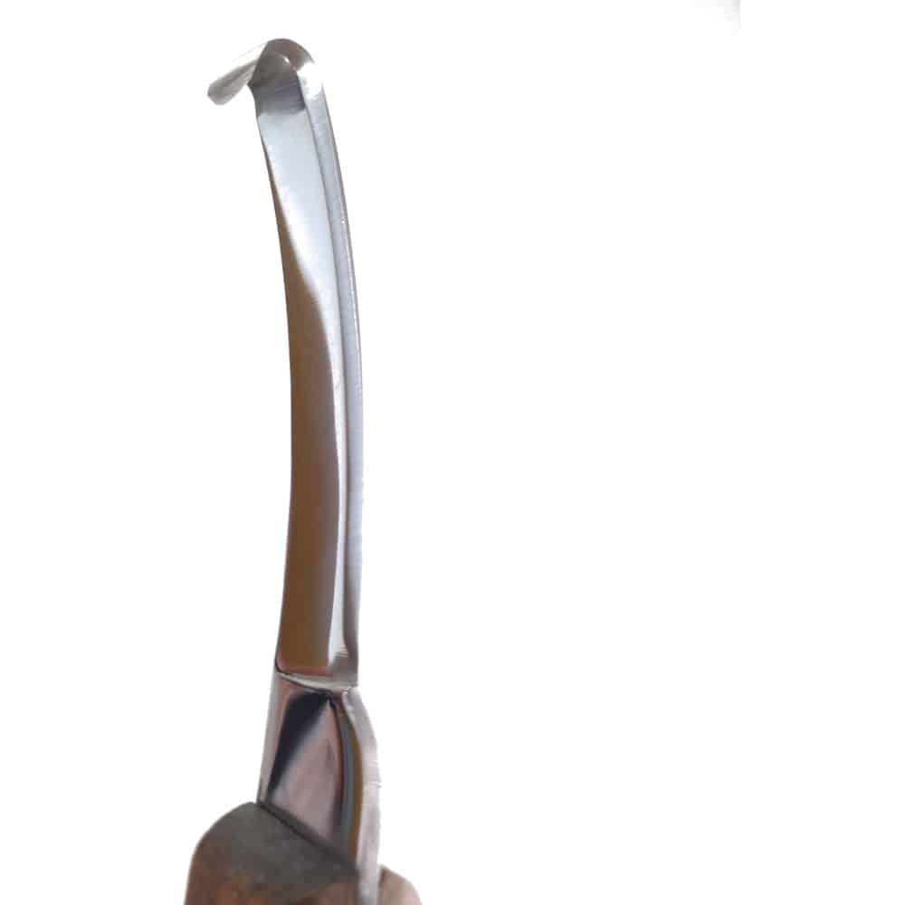Hoof It Walnut Handle Hoof Knife – Left Hand, Narrow Blade, J2 Stainless Steel 2 Close-up of the hooked blade tip of the Hoof It left-hand wooden-handle hoof knife